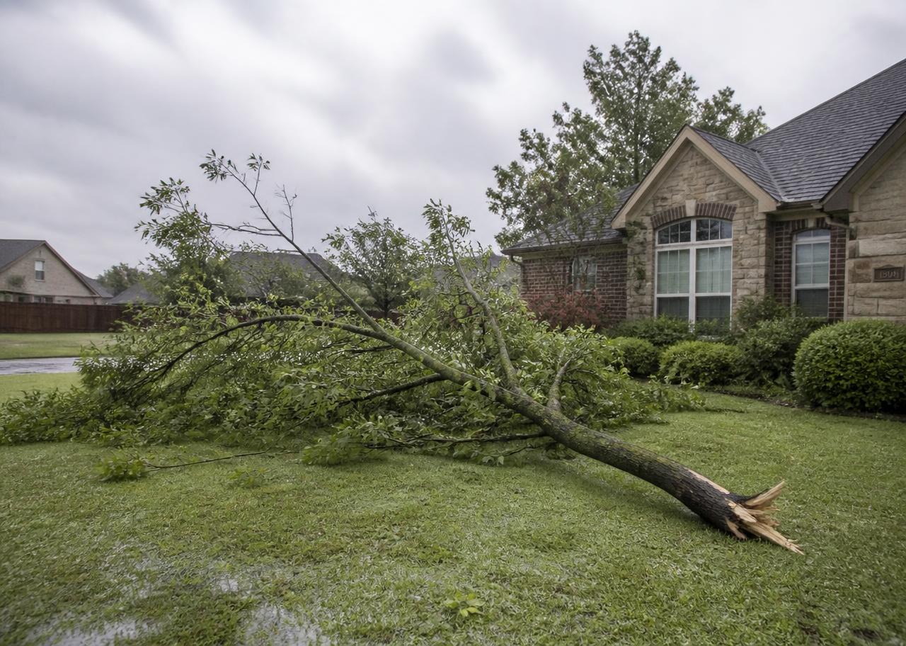 A storm-damaged tree limb down across a residential yard